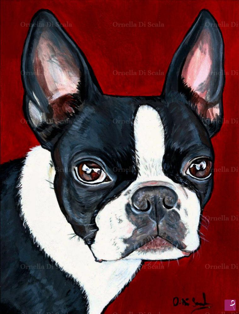 quadri in vendita online - Ritratto cane boston terrier acrilico dipinto a mano