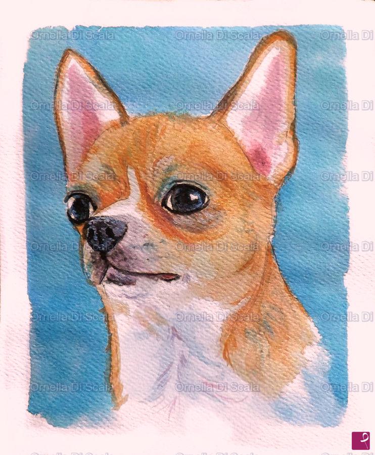 quadri in vendita online - Ritratto cane chihuahua acquerello