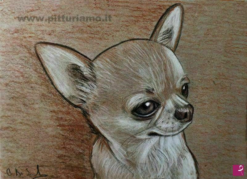 Disponibile Quadro Ritratto Cane Chihuahua Matita Sanguigna Ornella Di Scala Pitturiamo
