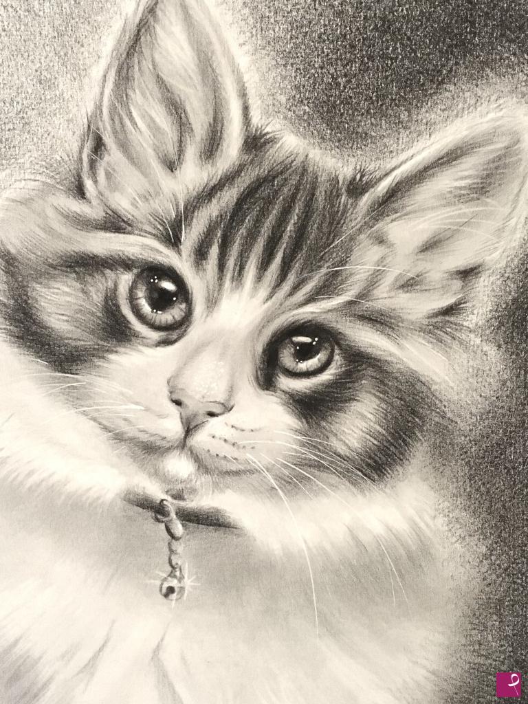 quadri in vendita online - Ritratto di gatto