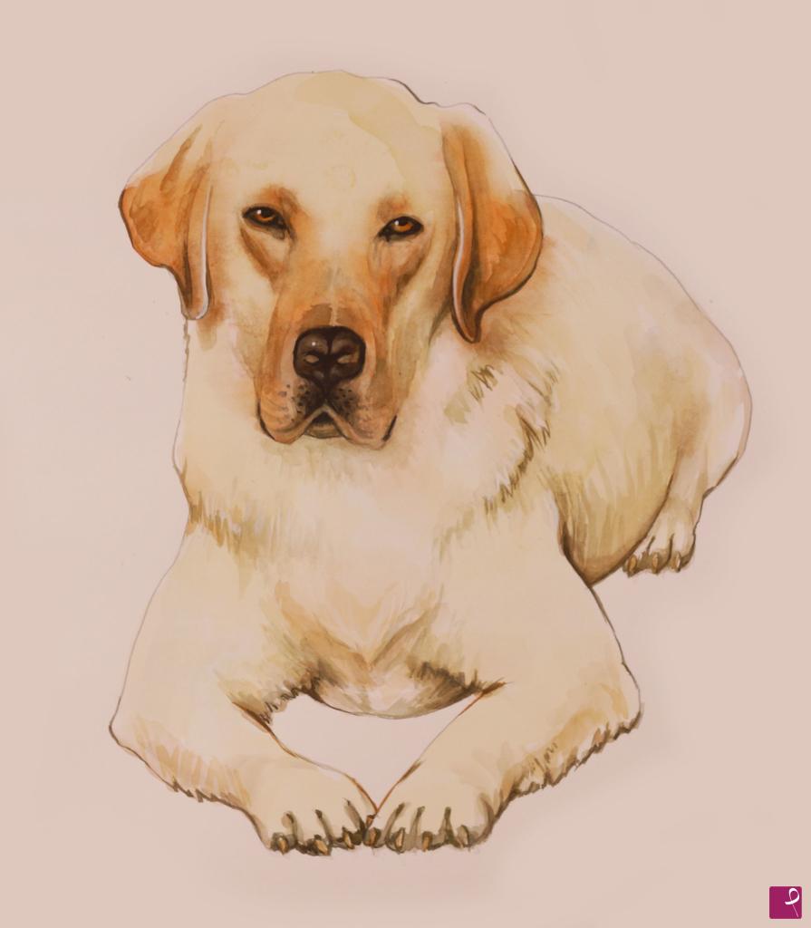 quadri in vendita online - RITRATTO  di un cane