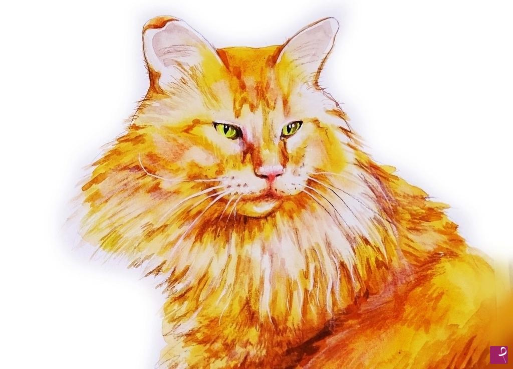 quadri in vendita online - RITRATTO  di un GATTO