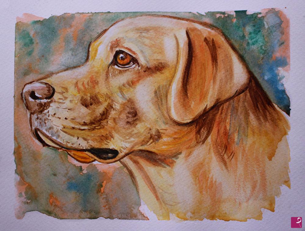 quadri in vendita online - Ritratto labrador retriver  acquerello