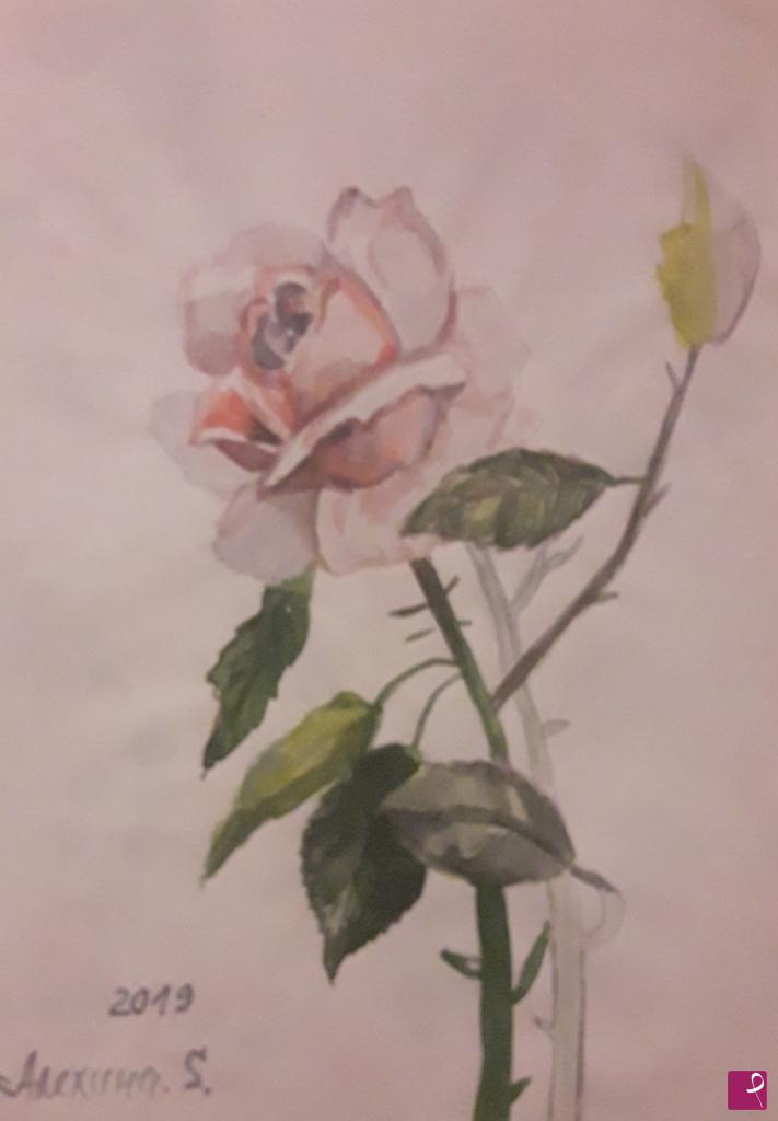 quadri in vendita online - Rosa