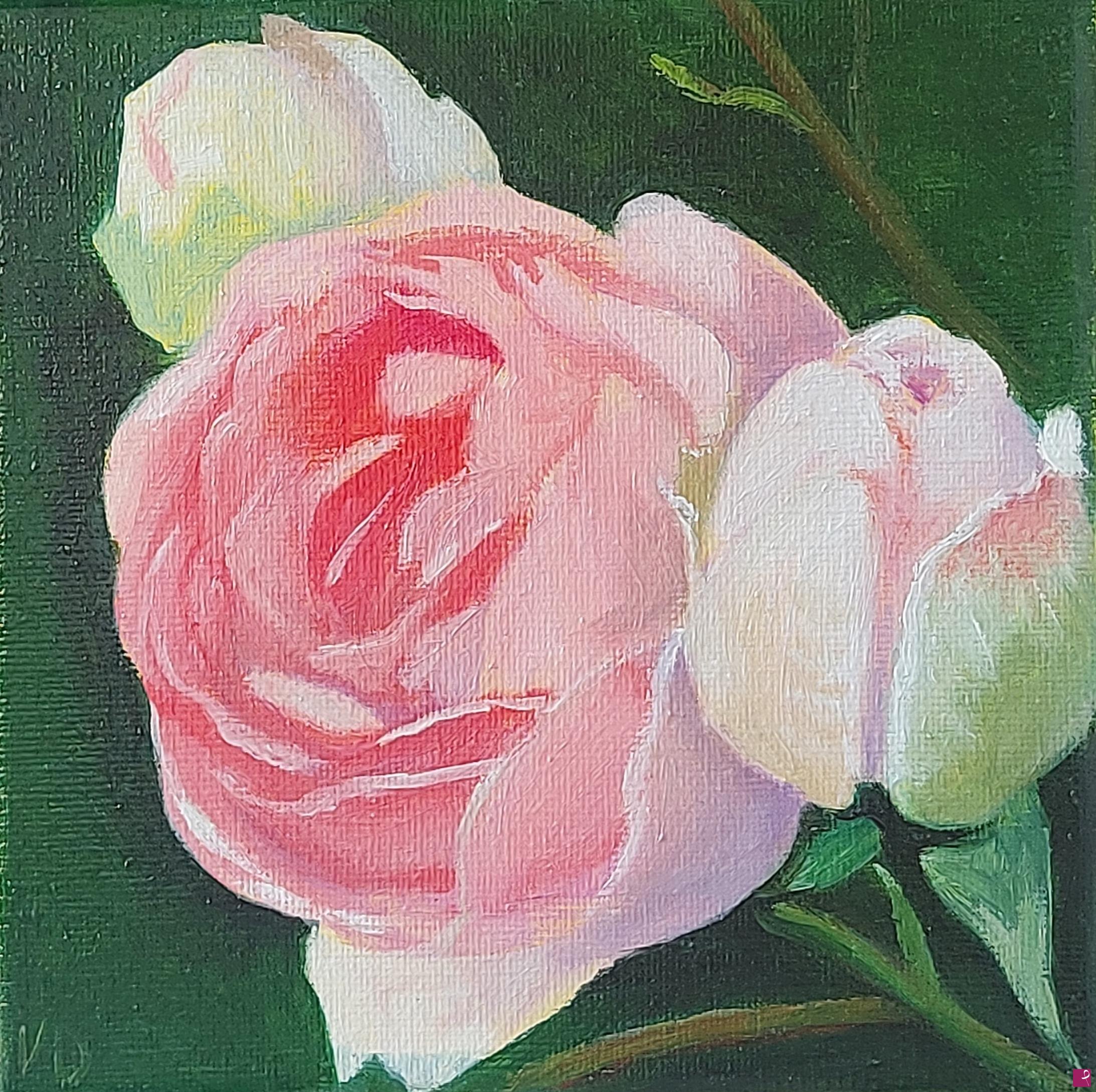 quadri in vendita online - Rosa 3