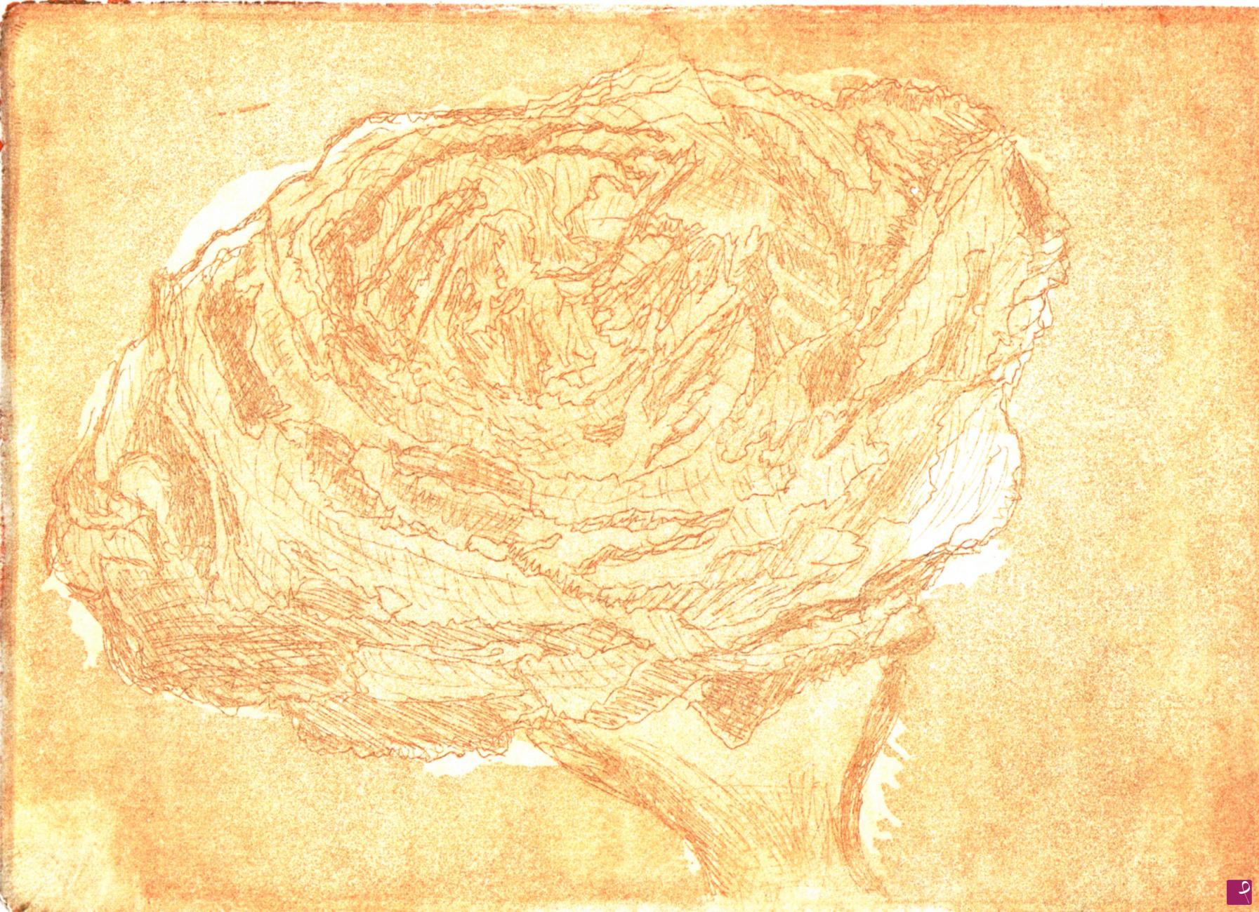 quadri in vendita online - rosa