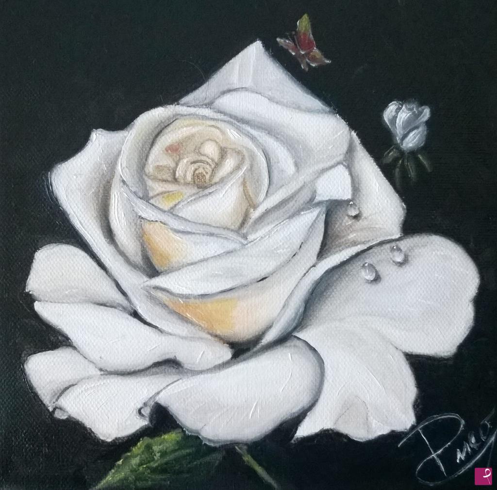 quadri in vendita online - Rosa bianca