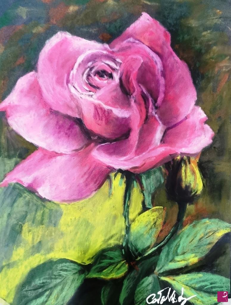 quadri in vendita online - ROSA in particolare