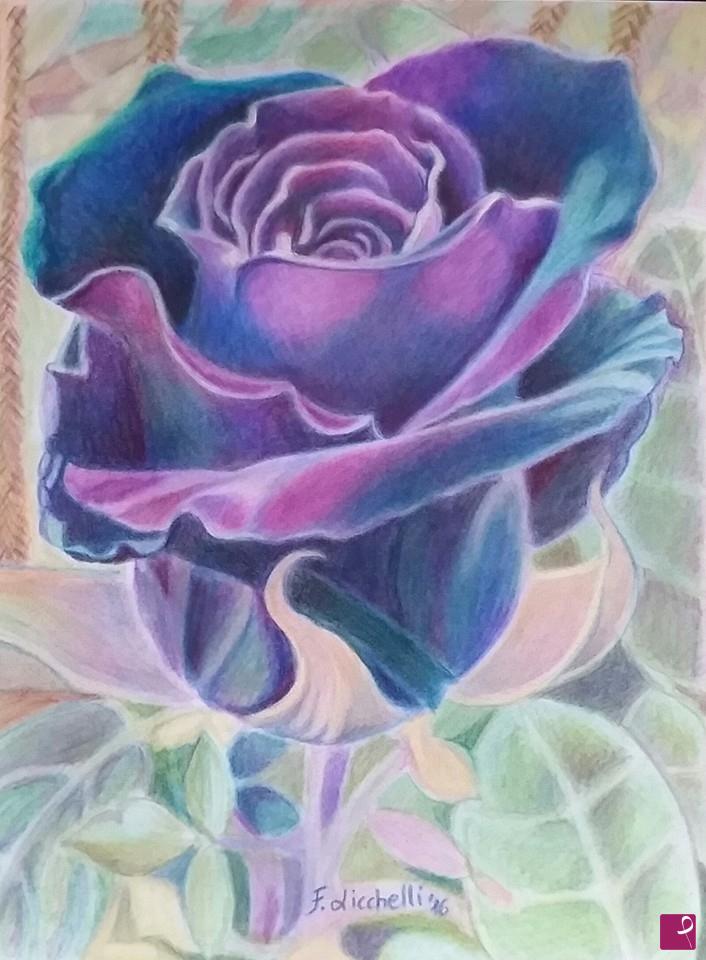 quadri in vendita online - Rosa nera 3 