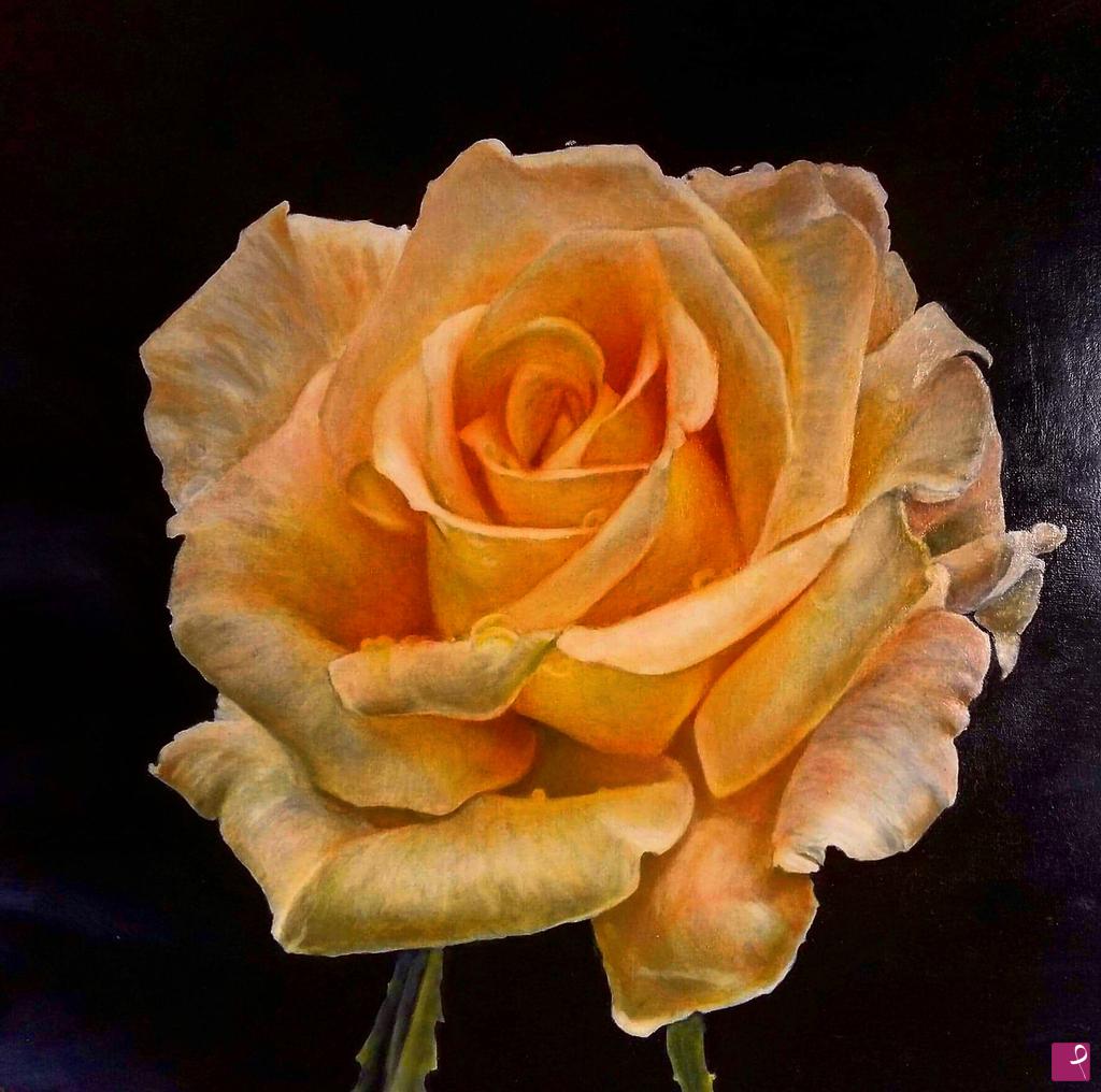 quadri in vendita online - Rosas
