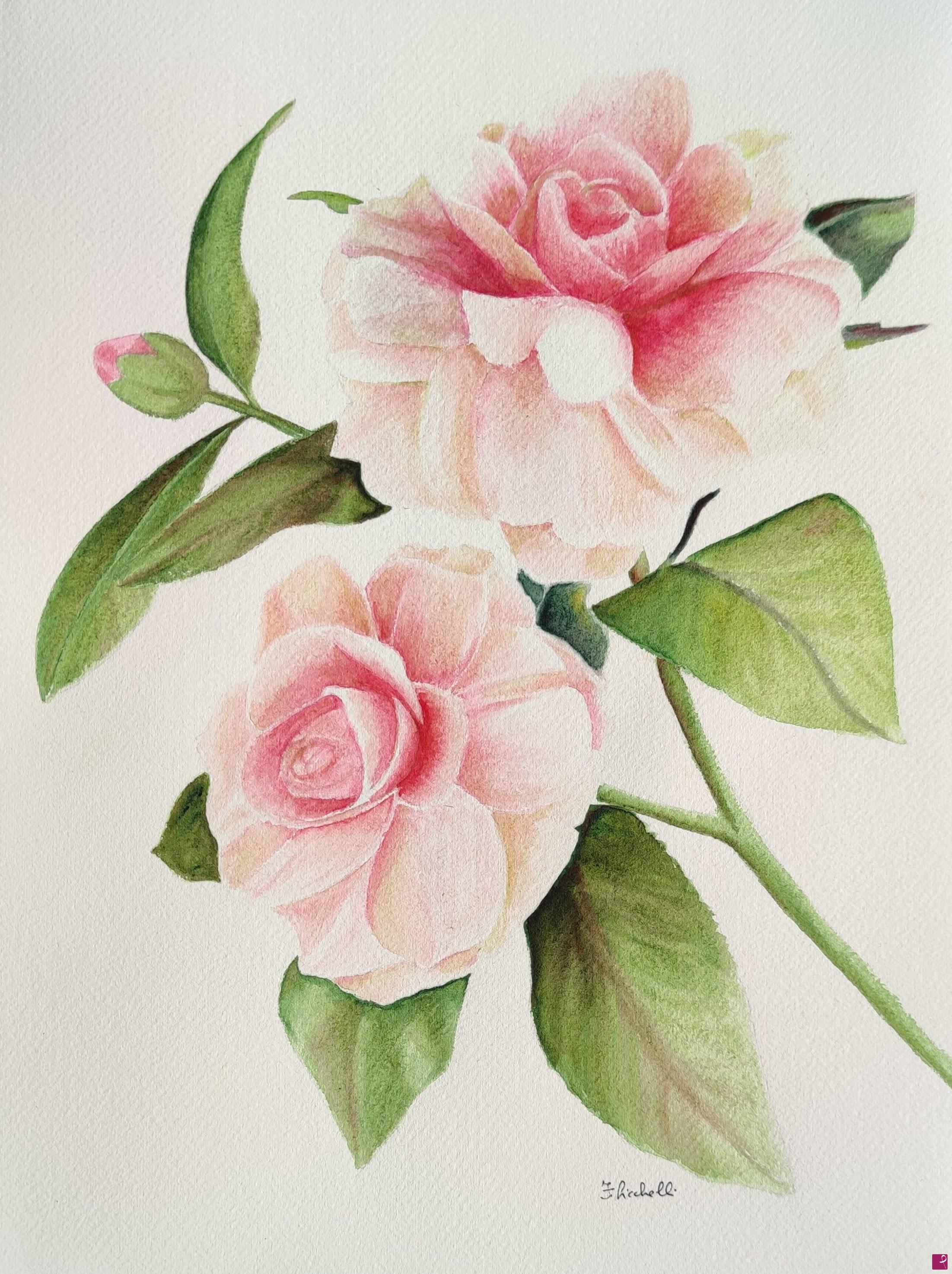 quadri in vendita online - Rose