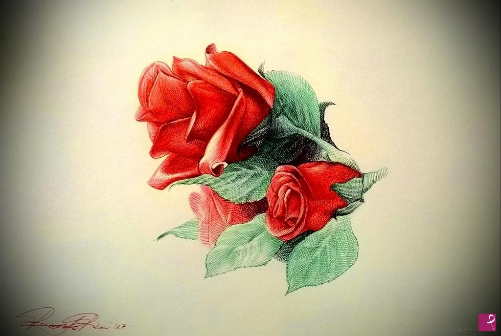 quadri in vendita online - Rose selvatiche