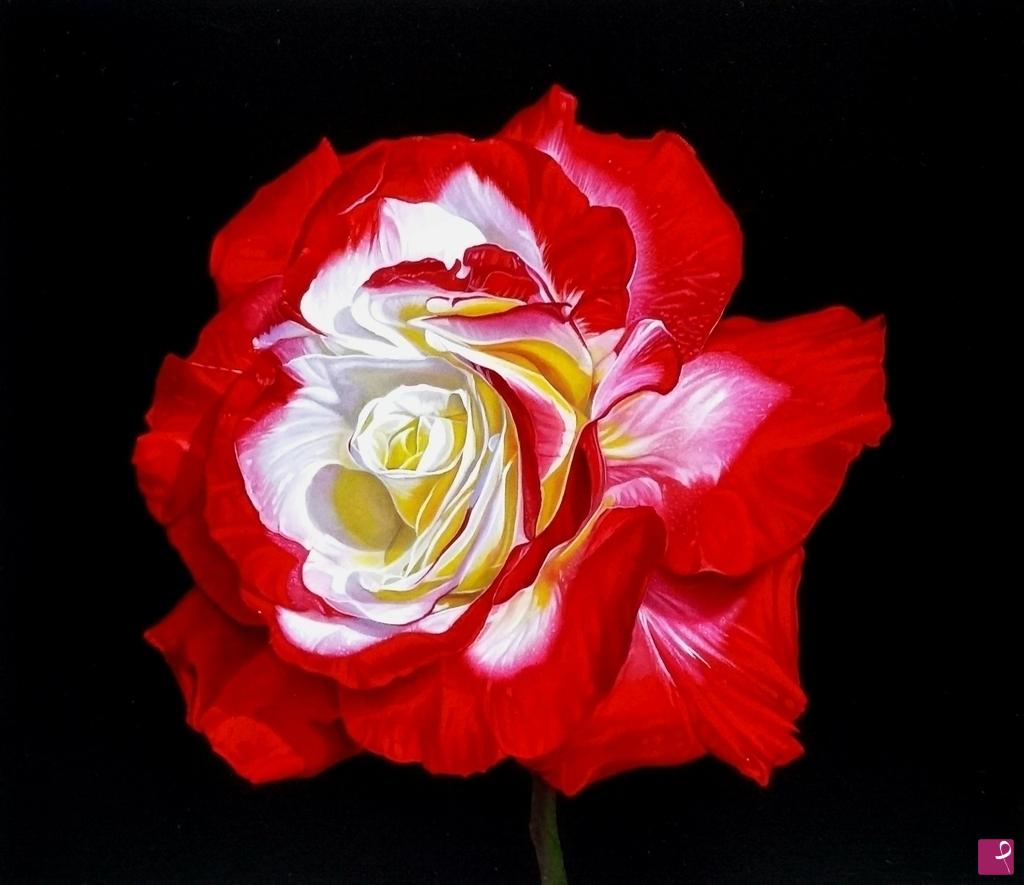 quadri in vendita online - "ROSE V"