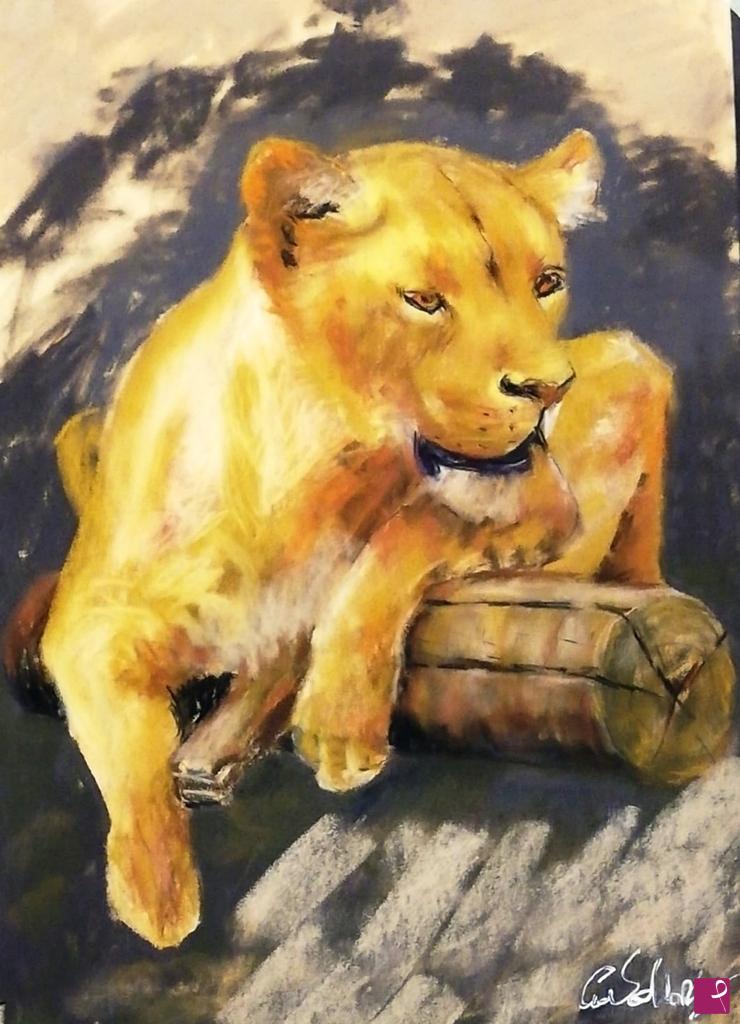 quadri in vendita online - savana