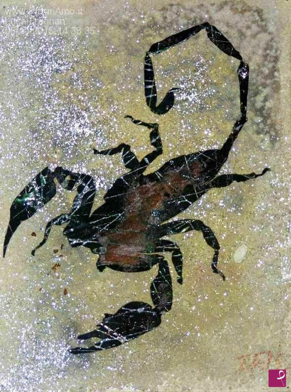 quadri in vendita online - Scorpion.1