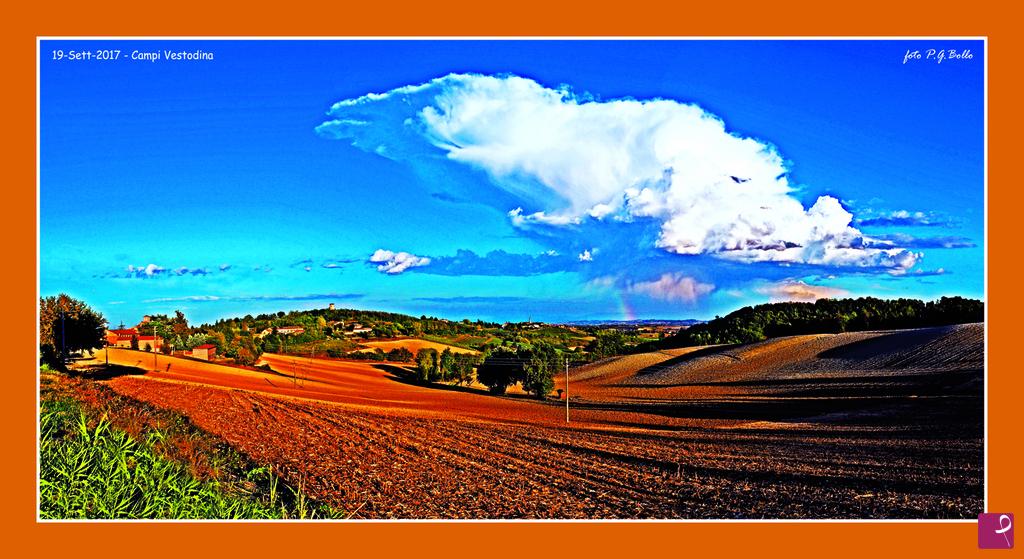 quadri in vendita online - SETTEMBRE 2022