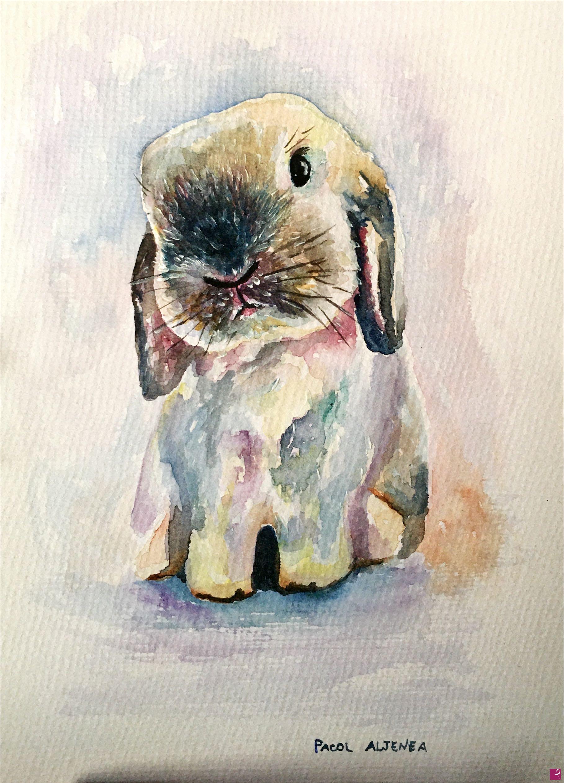 quadri in vendita online - Siamese ram rabbit