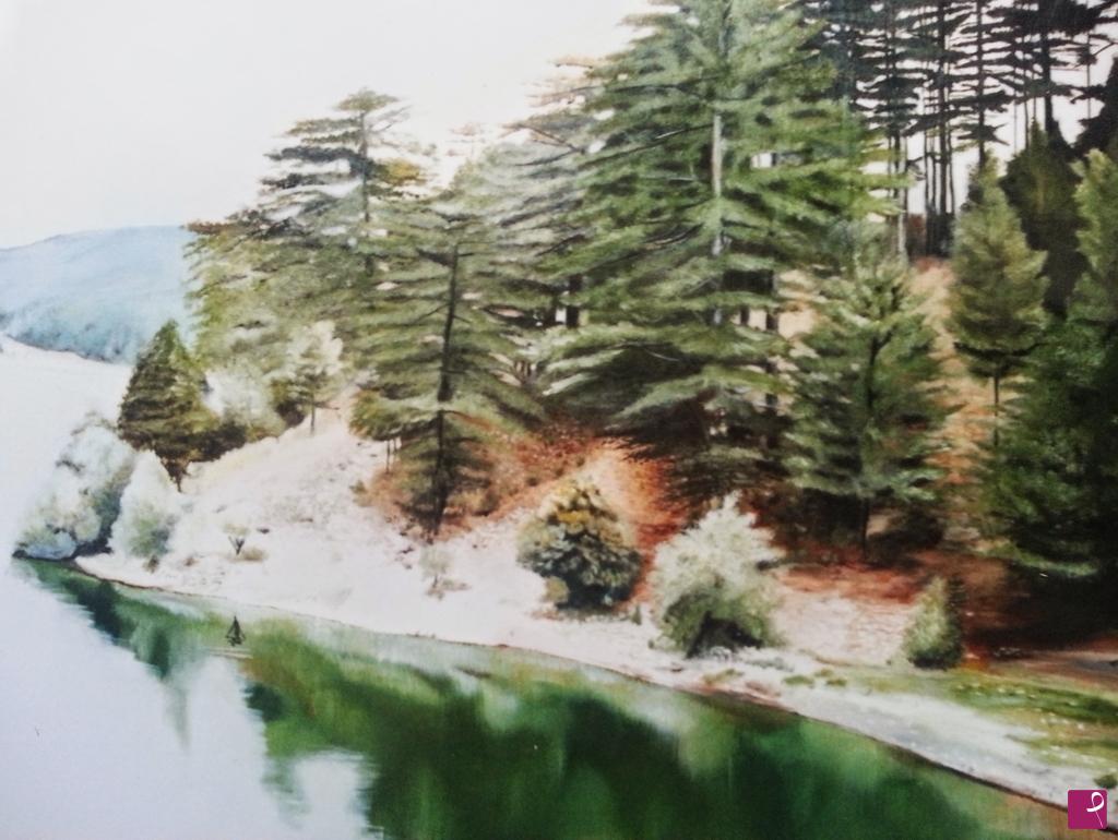 quadri in vendita online - SILA, LAGO DI CECITA 