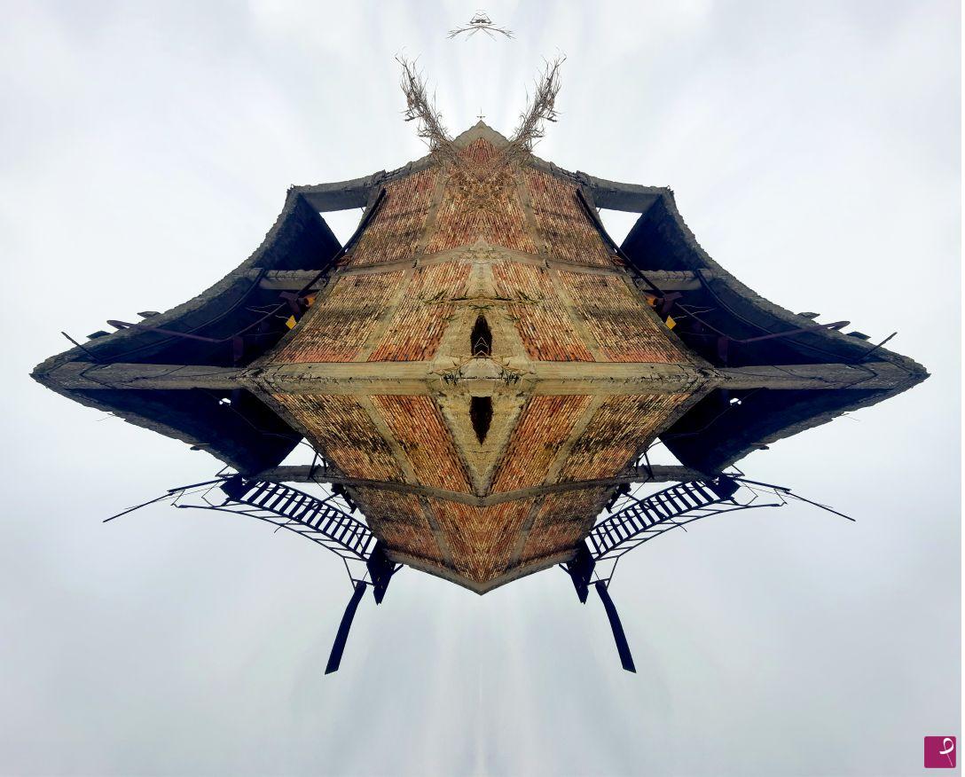 quadri in vendita online - Space stink bug