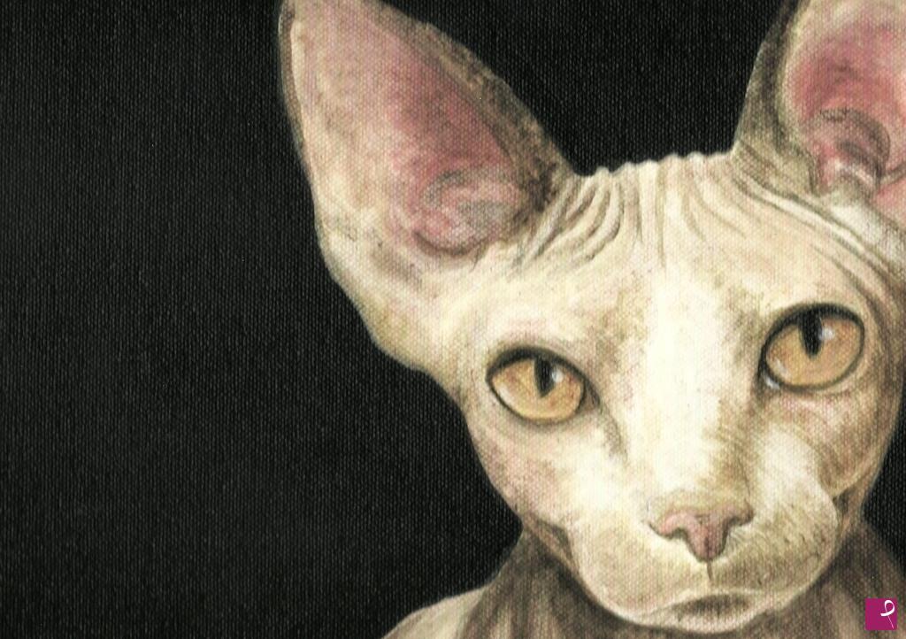 quadri in vendita online - Sphynx