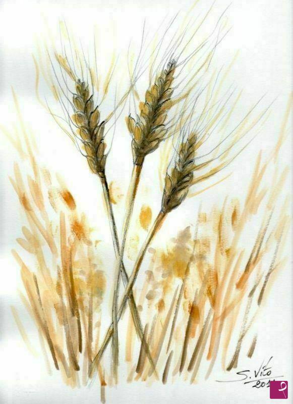 quadri in vendita online - Spighe di grano