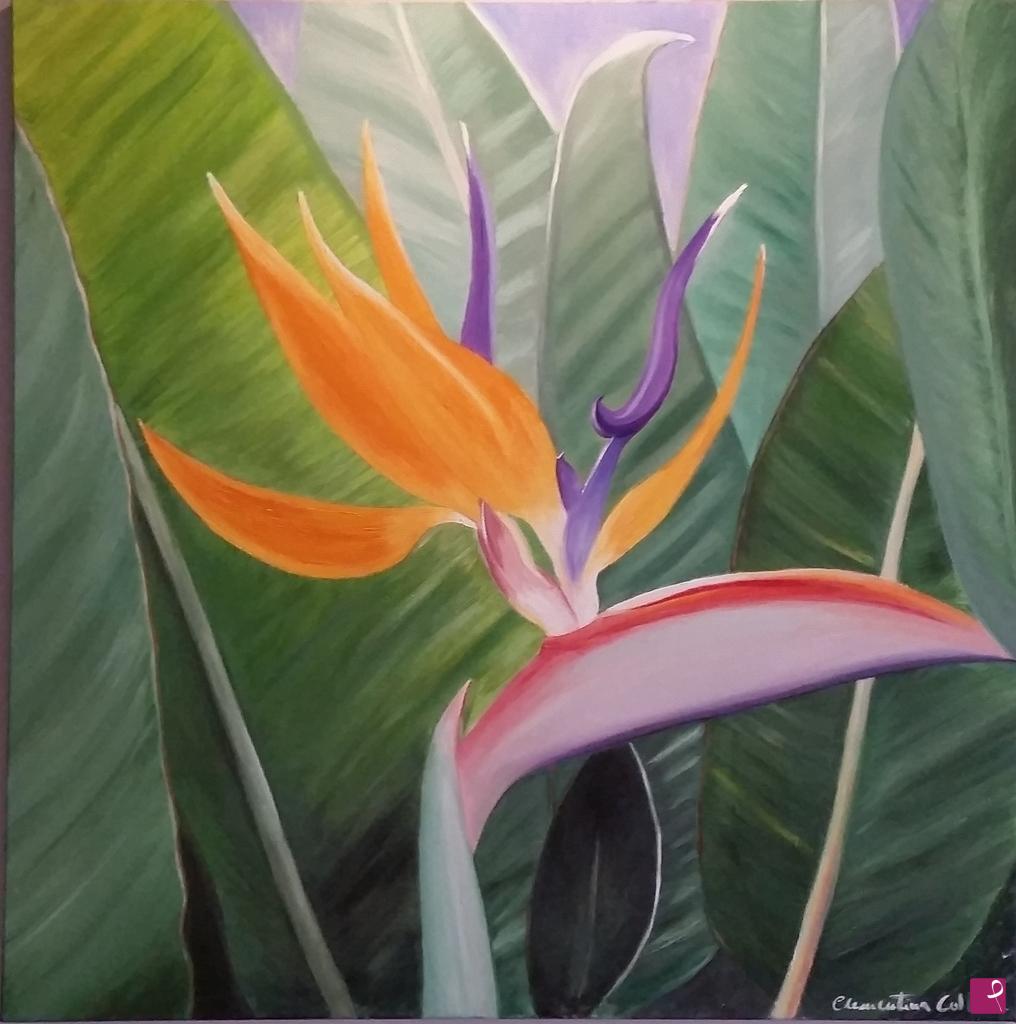 quadri in vendita online - Strelitzia