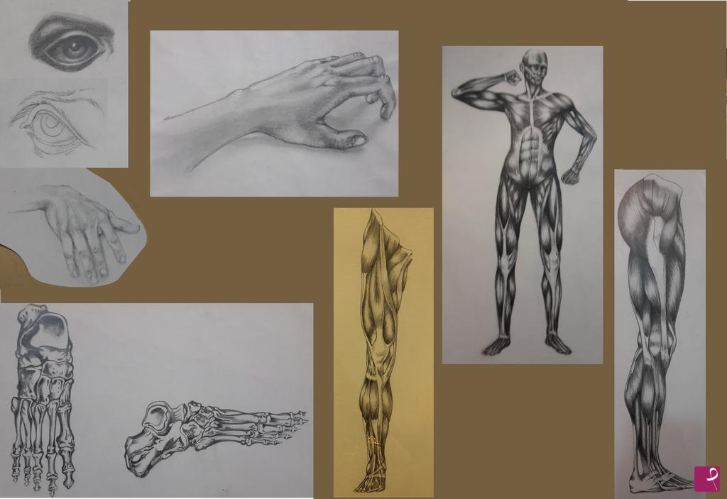 quadri in vendita online - Studio anatomico