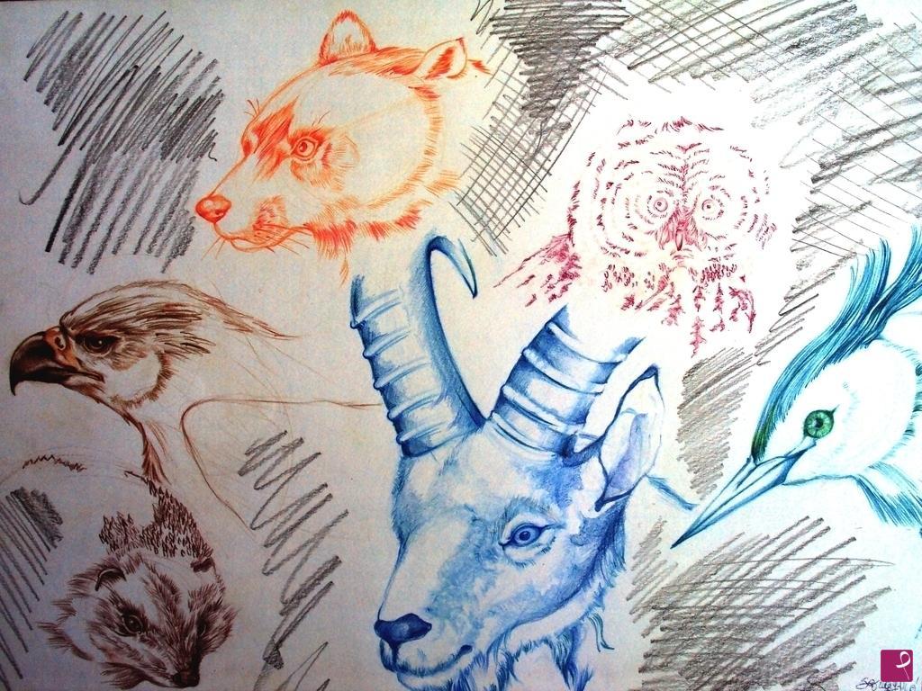 quadri in vendita online - studio anatomico animalista
