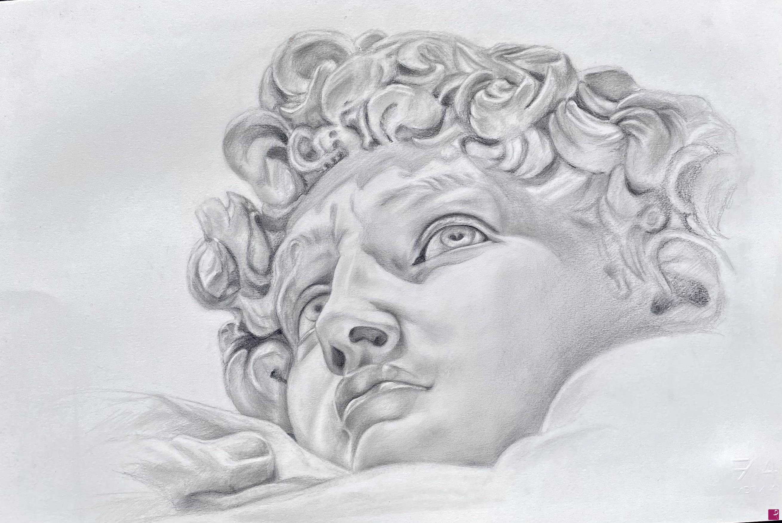 quadri in vendita online - Studio della Testa del David di Michelangelo 