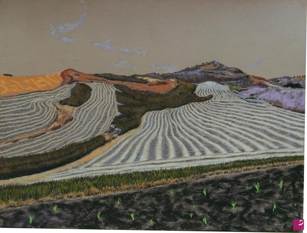 quadri in vendita online - Summer wheat fields