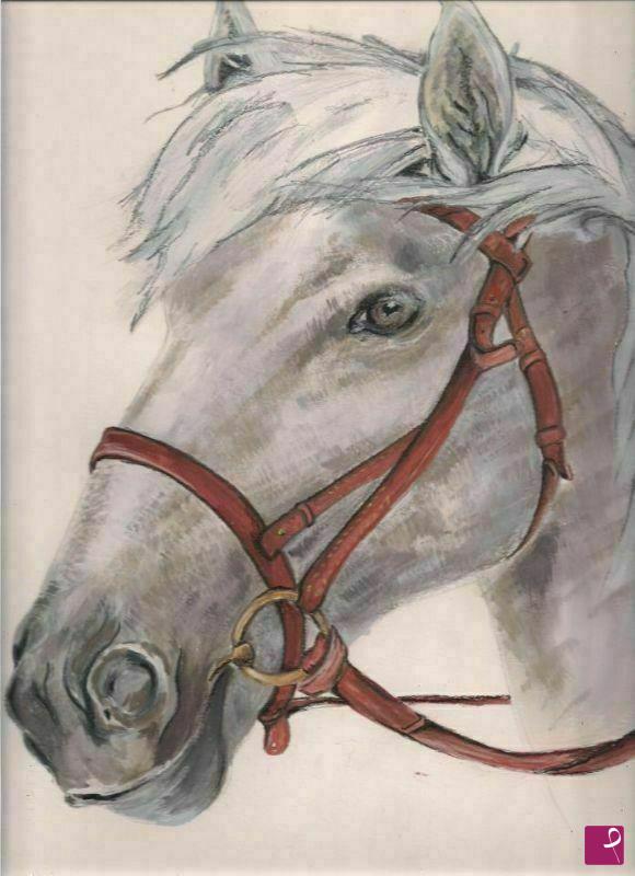 quadri in vendita online - testa di cavallo