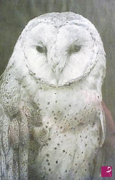 quadri in vendita online - THE BURN OWL
