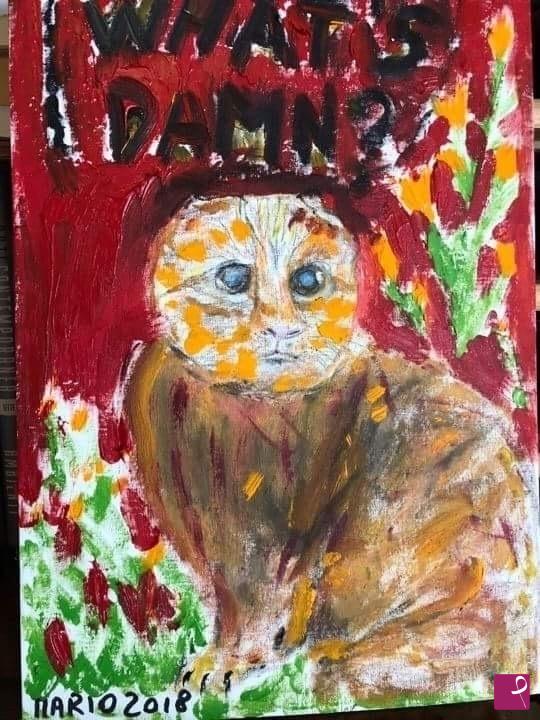 quadri in vendita online - The cat