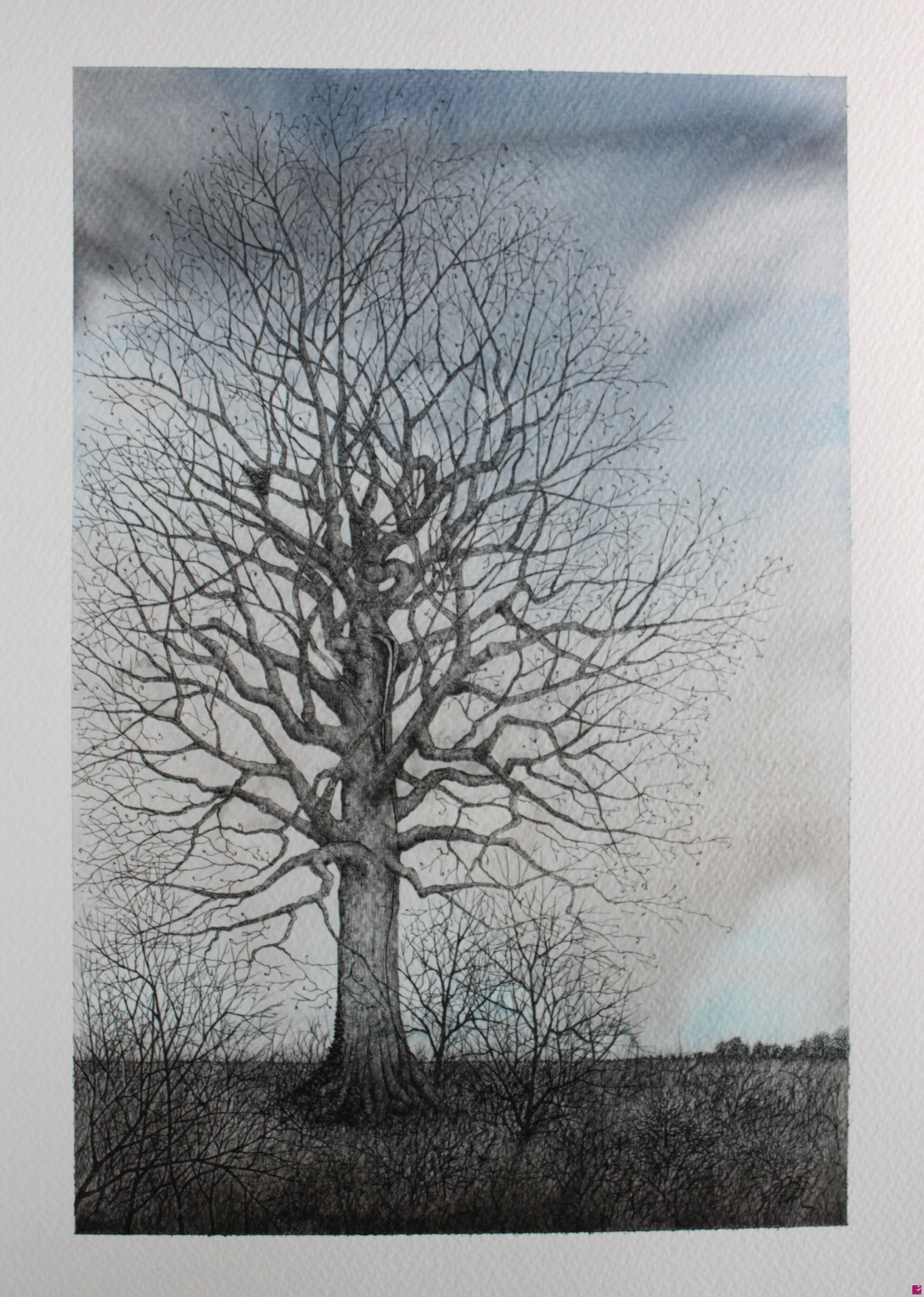 quadri in vendita online - The wounded tree