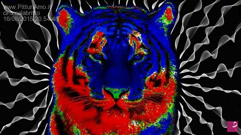 quadri in vendita online - Tiger