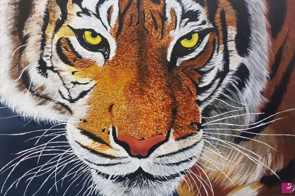 tiger vendita on line