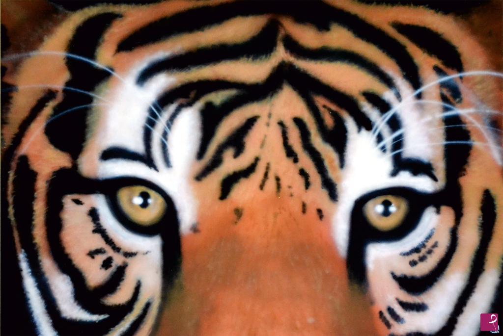 quadri in vendita online - Tigre