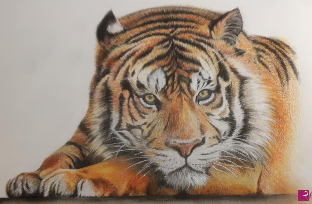 quadri in vendita online - Tigre