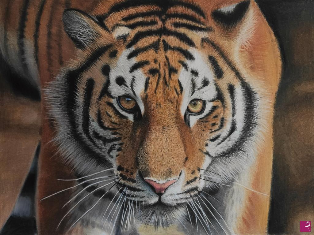 quadri in vendita online - Tigre
