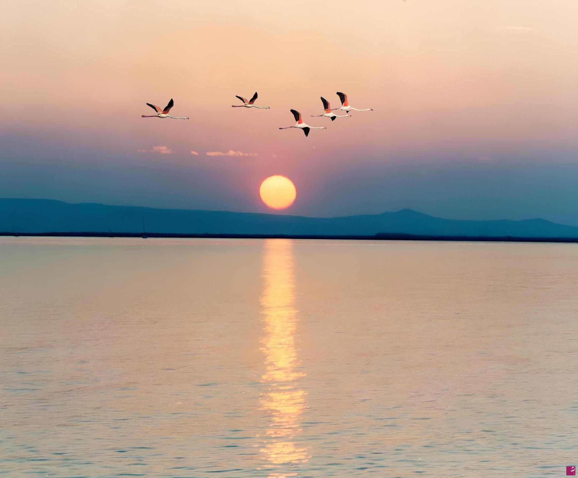 quadri in vendita online - Tramonto 2