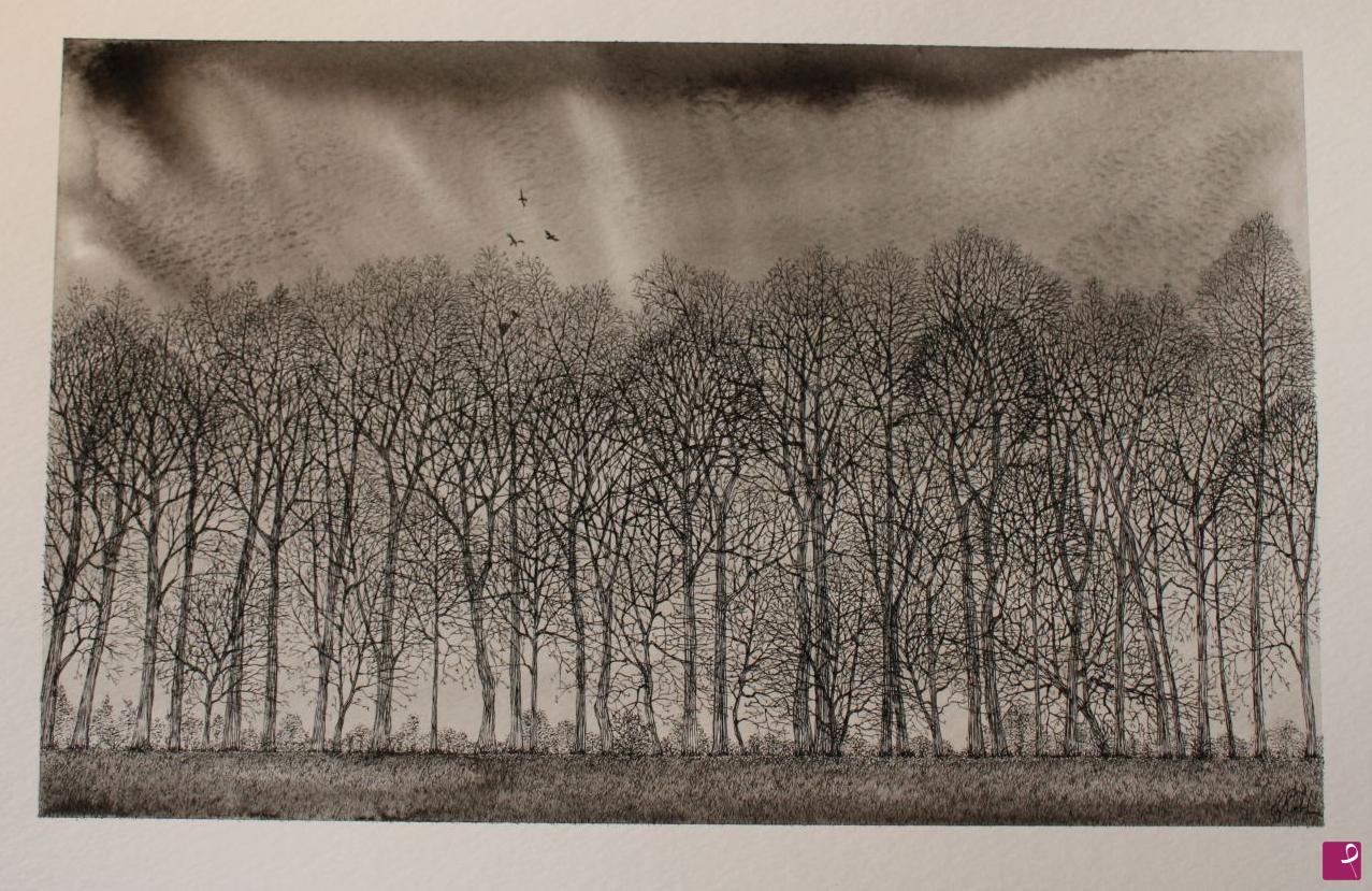 quadri in vendita online - Trees, Monza Park, Italy