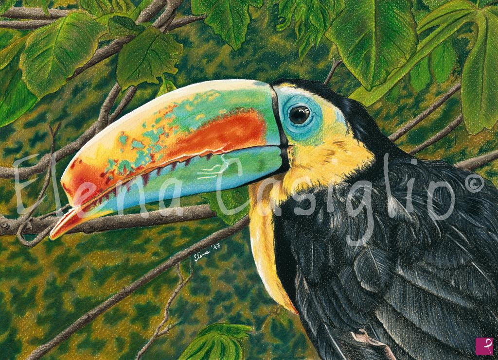 quadri in vendita online - Tucano