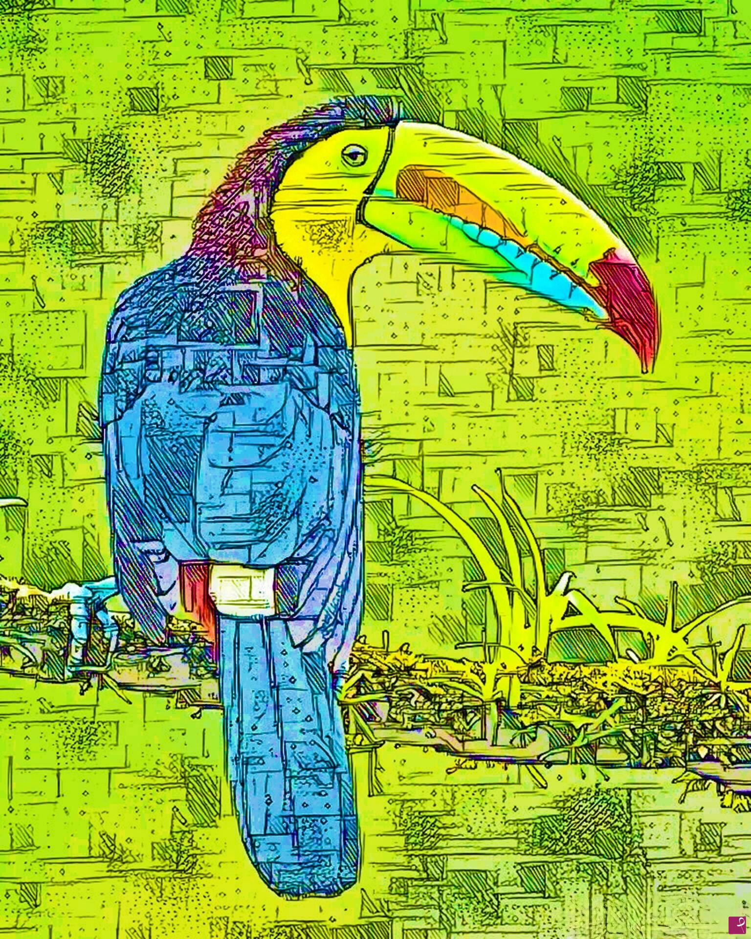 quadri in vendita online - TUCANO