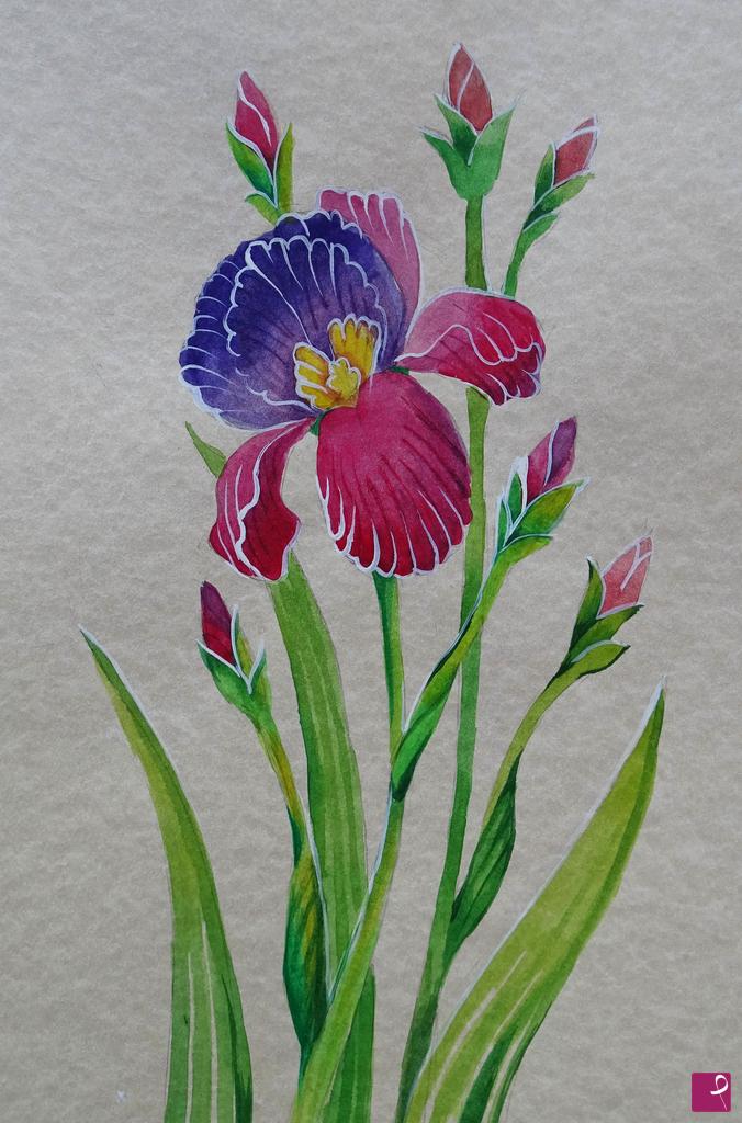quadri in vendita online - un fiore IRIS 