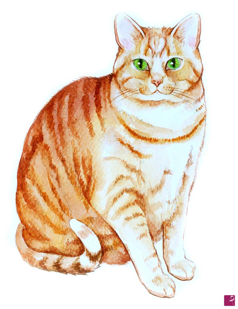 quadri in vendita online - un gatto 