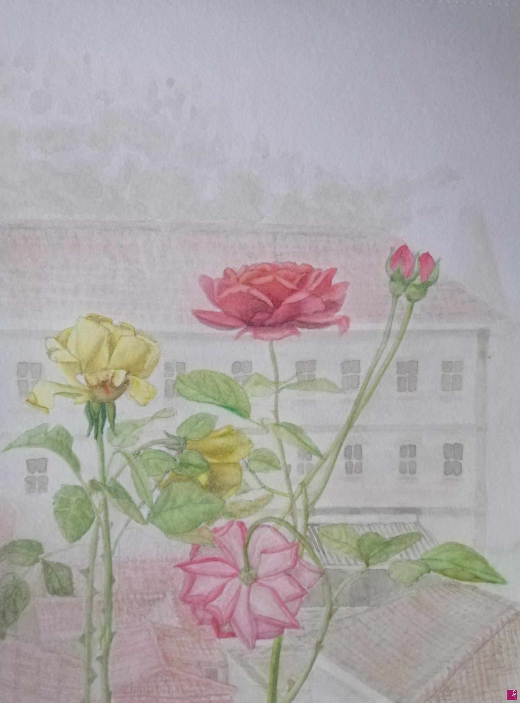 quadri in vendita online - Vista con rose