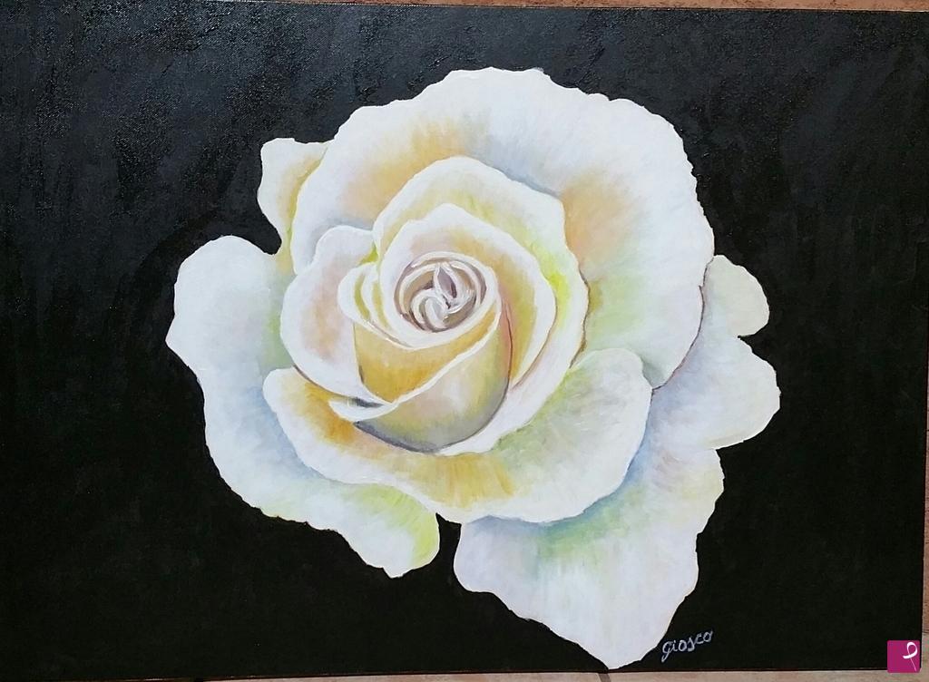 quadri in vendita online - White rose