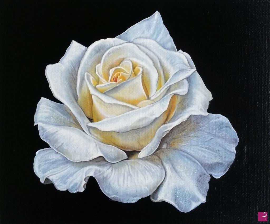 quadri in vendita online - "White Rose"