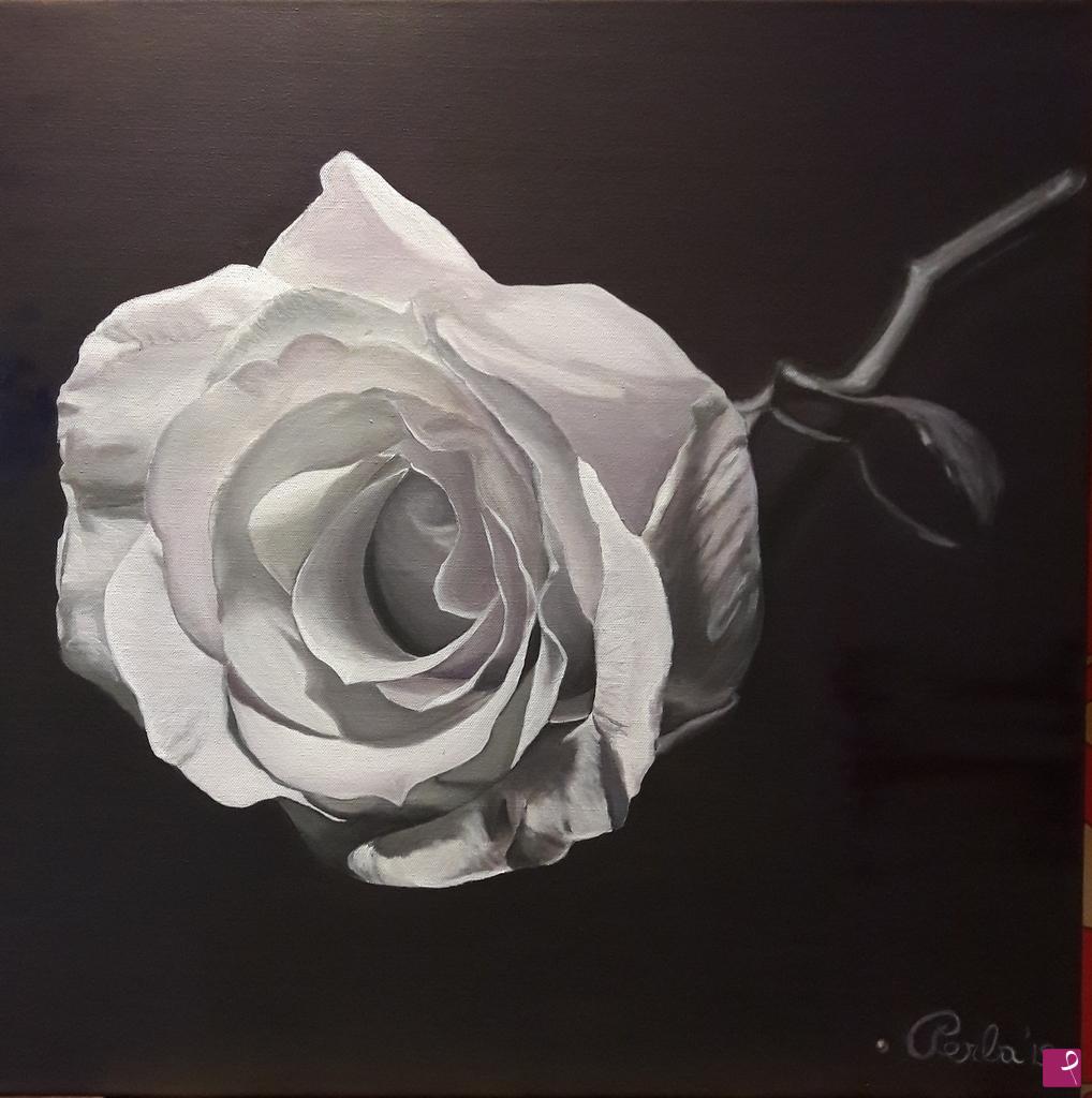 quadri in vendita online - White rose