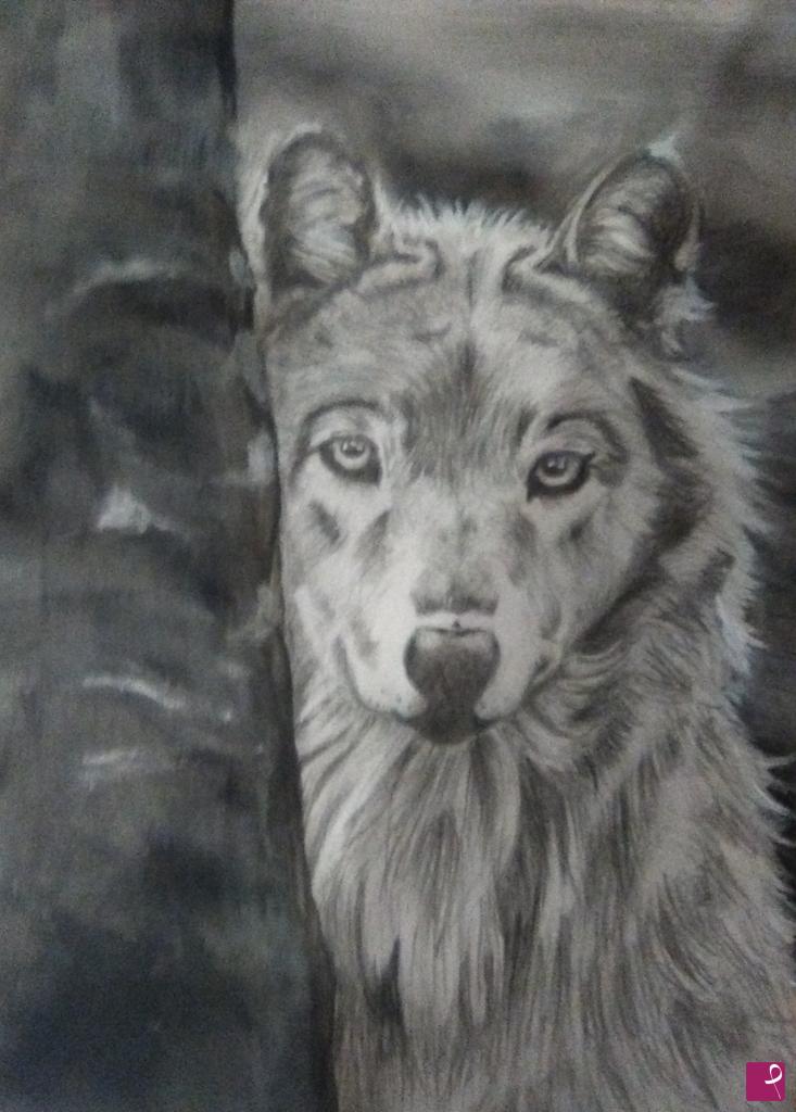 quadri in vendita online - Wolf